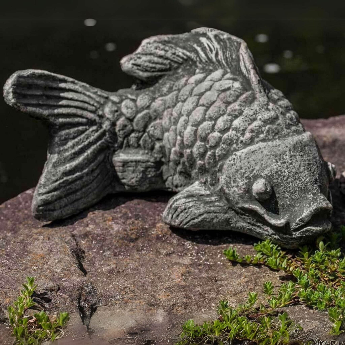 Campania Coy Koi Concrete Fish Statue