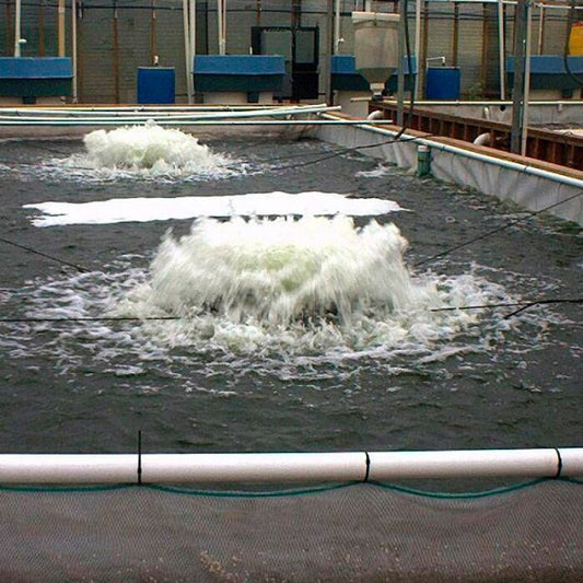 Kasco 3400AF 3/4 HP Surface Aerator 150ft Cord with Float