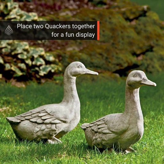 Campania Quackers Duck Concrete Garden Statue - #A436