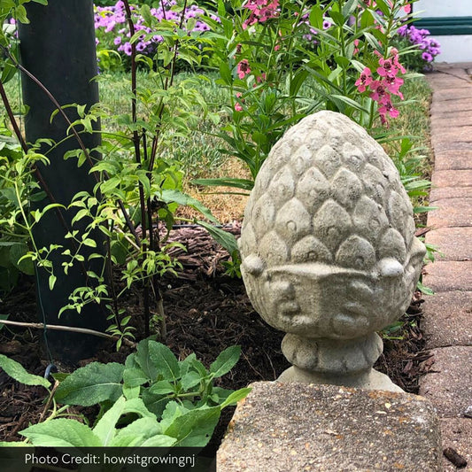 Campania Longwood Pineapple Concrete Finial Statue - #S255