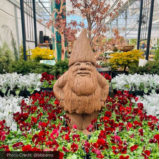 Campania Ulrich von Snootypants Concrete Garden Statue - #S520