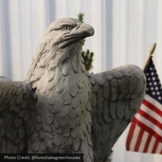 Campania Eagles Looking Left & Right Concrete Garden Statue Set