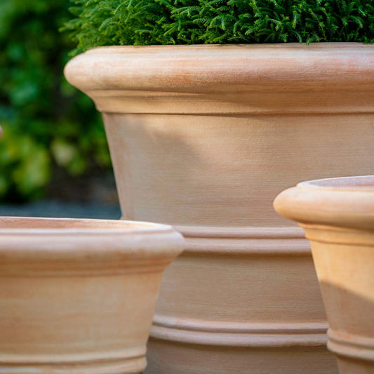 Campania International Classic Double Rolled Rim 11.5 in Terra Cotta