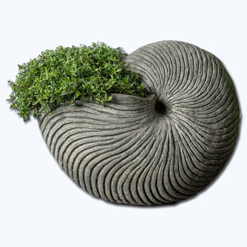 Campania Ammonite Planter