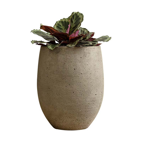 Campania Bebel Cast Stone Planter