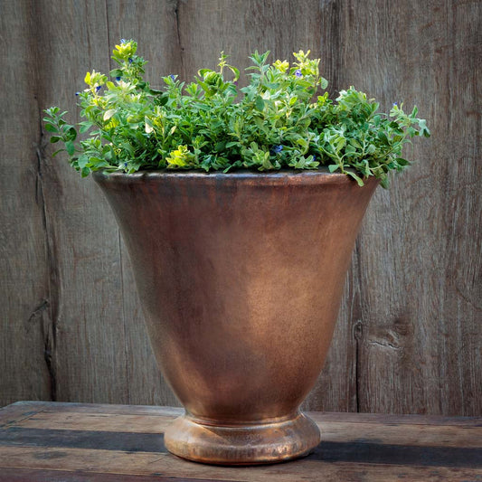Campania International Caterine Urn Planter | Glazed Collection