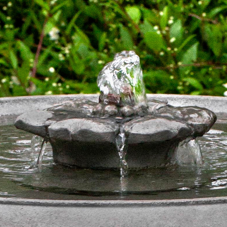 Campania International Camellia Birdbath Fountain