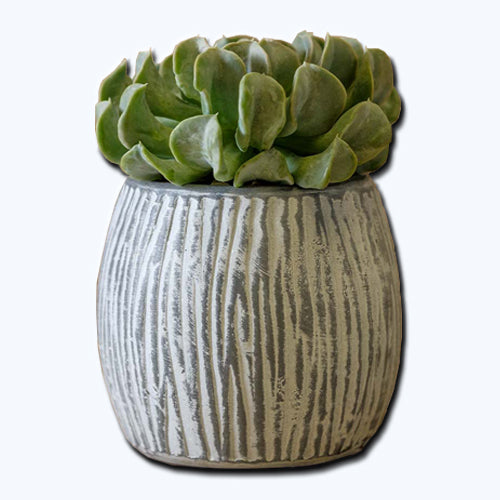 Campania Coconut Set of 6 | Cold Painted Terra Cotta Planter