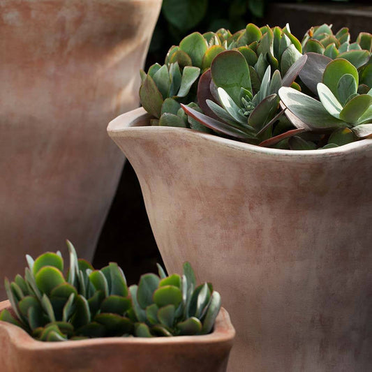 Campania Foxglove Tall Planter Set of 3 | Terra Cotta Collection