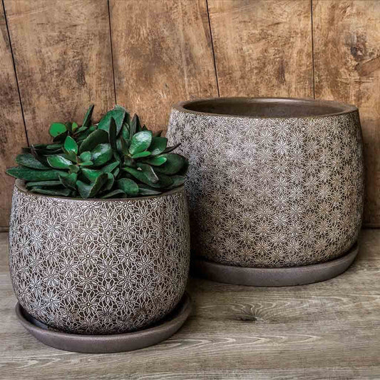 Campania Marguerite Large Round | Cold Painted Terra Cotta Planter