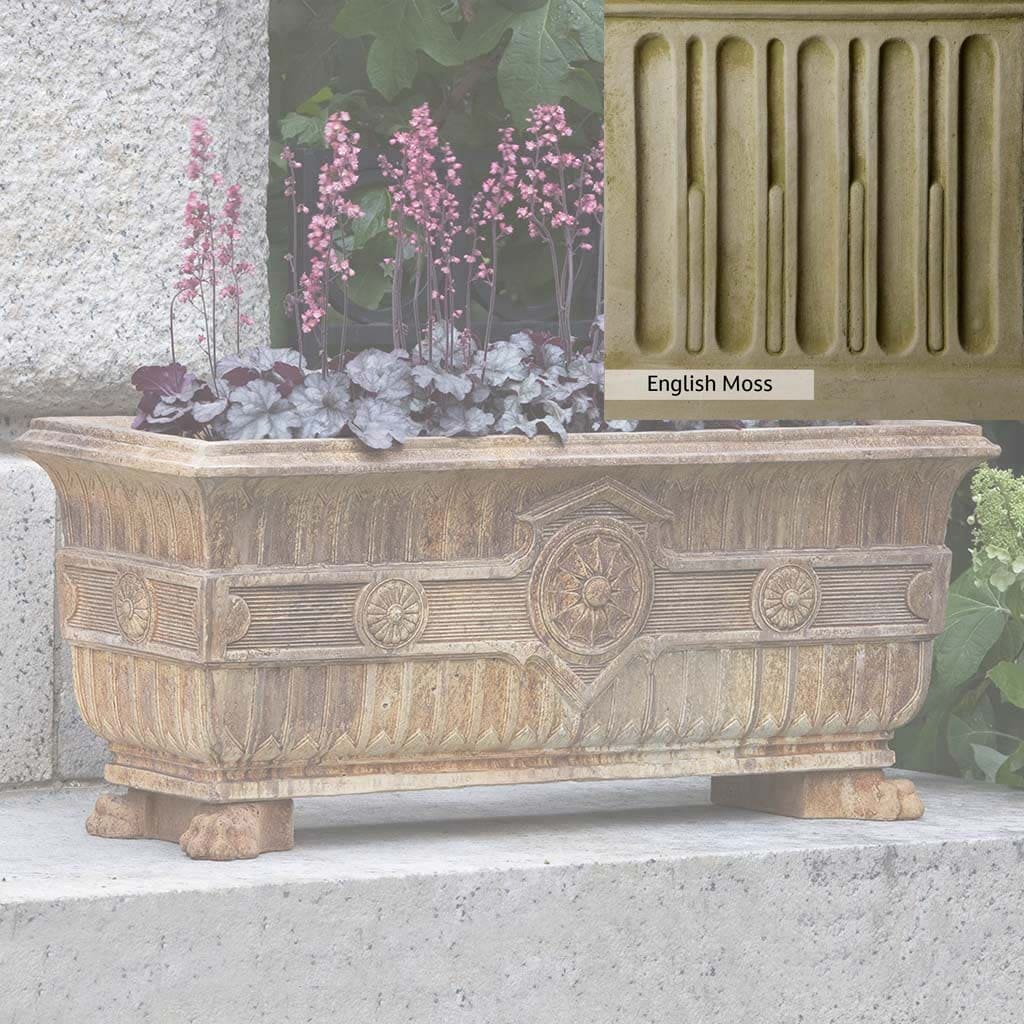 Campania International Smithsonian Eastlake Fern Box