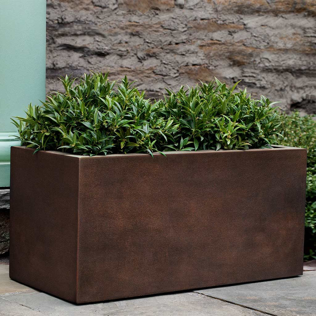 Campania Sandal Planter 481818 | Lite® Collection