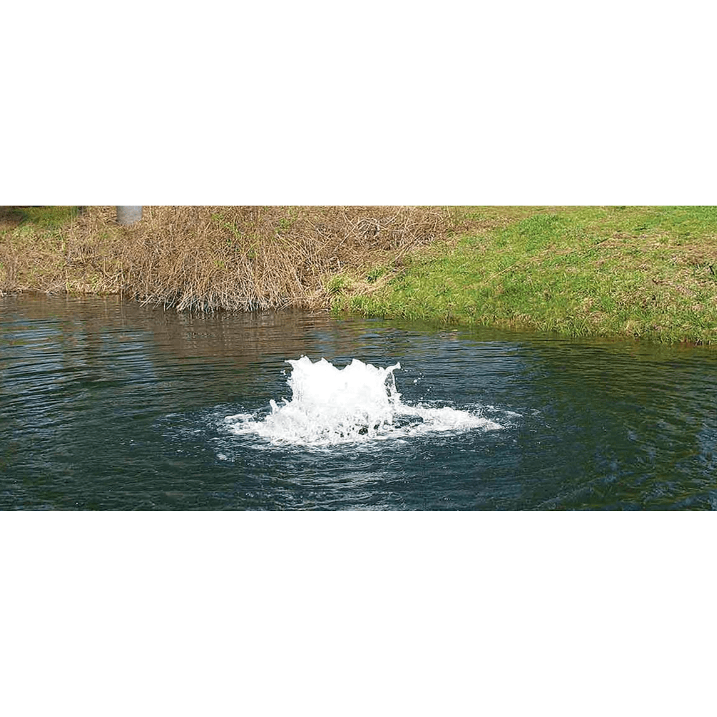 Boilermaker Pond Aerator – Powerful Surface Aeration for Clear, Healthy Ponds