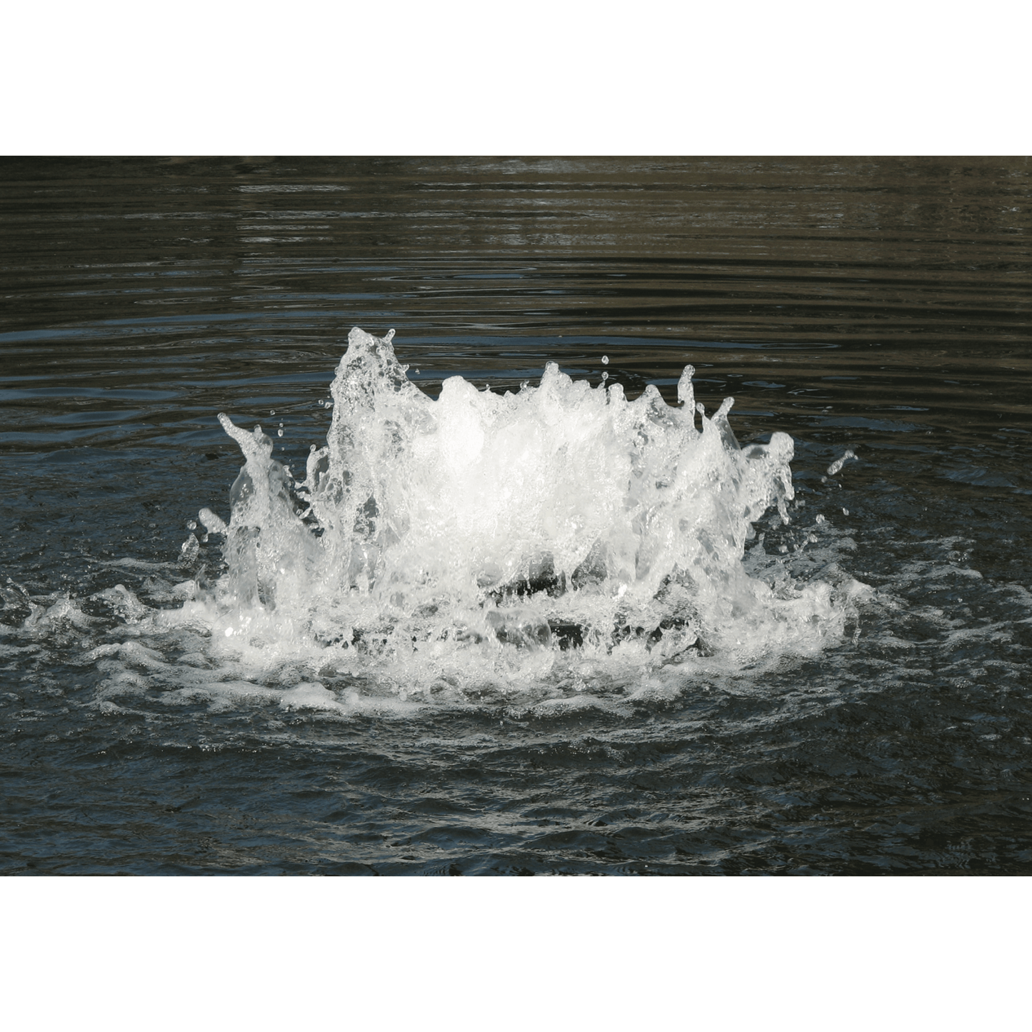 Boilermaker Pond Aerator – Powerful Surface Aeration for Clear, Healthy Ponds