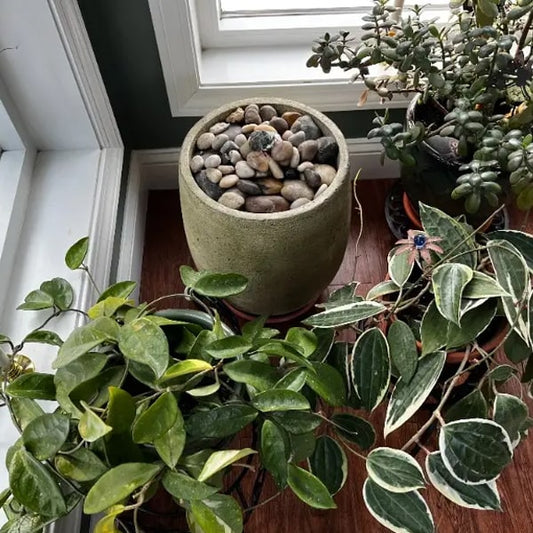 Campania International Bebel Pebble Fountain