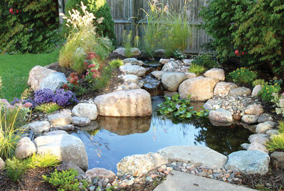 Blue Thumb Large Pond DIY Kit