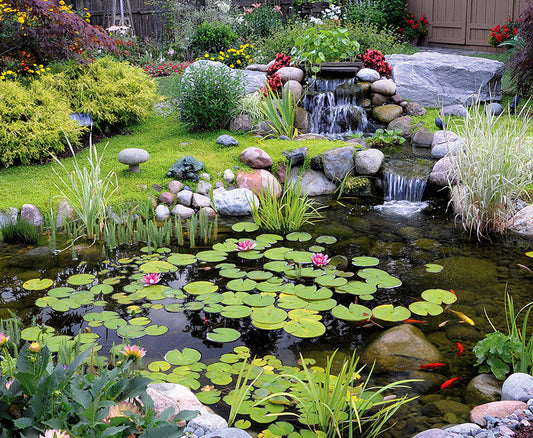 Blue Thumb Elite Series Pond Kits