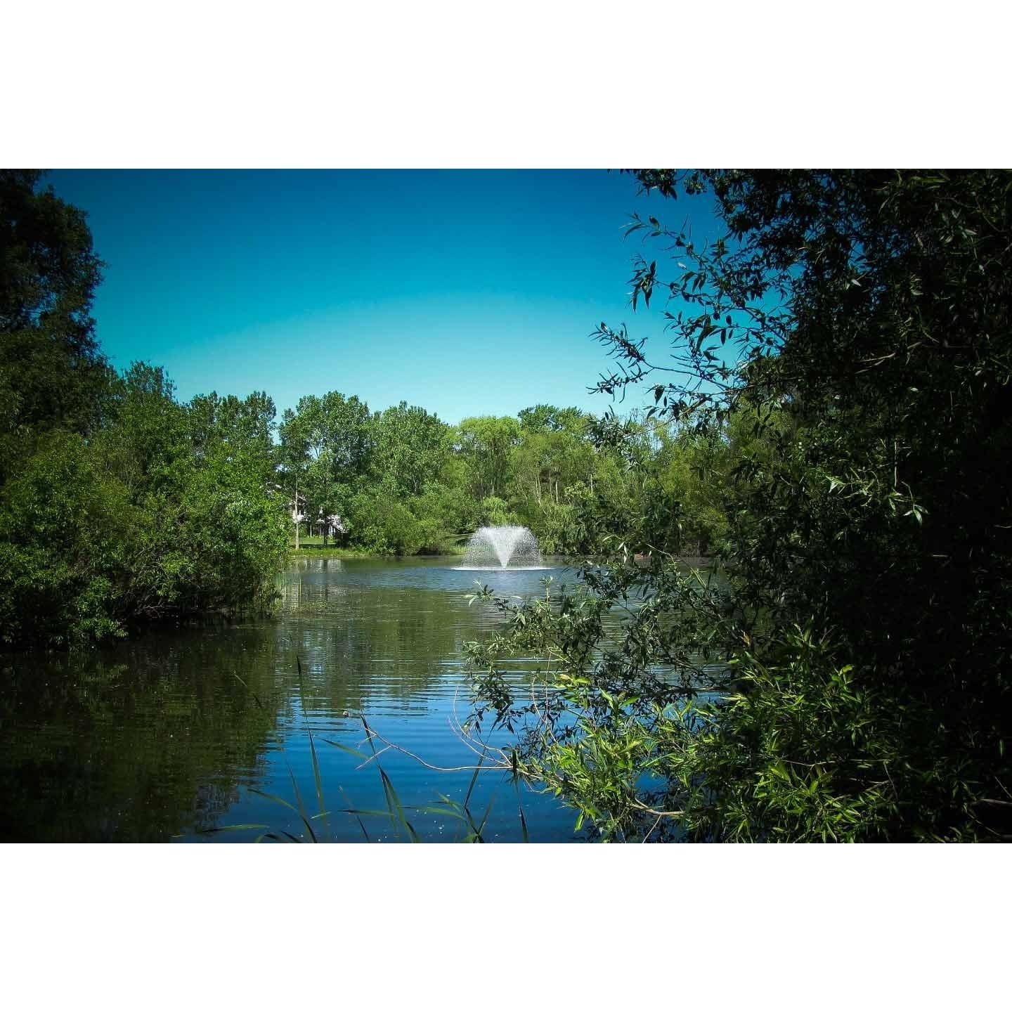 Scott Aerator North Star Pond Aerator Fountain