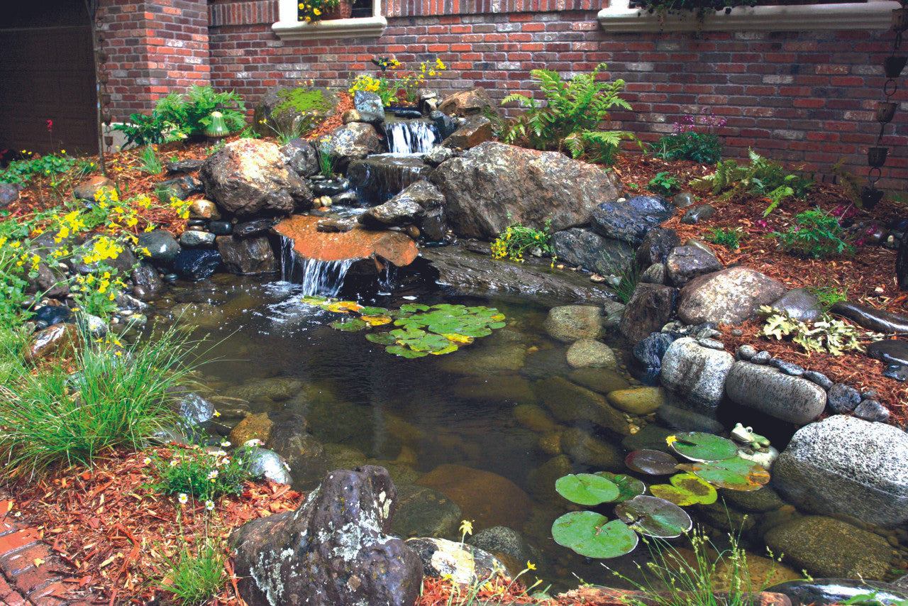 Blue Thumb Elite Series Pond Kits