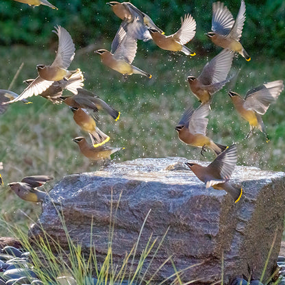 Blue Thumb Medium Bird Bath GFRC Boulder Fountain - Complete Kit
