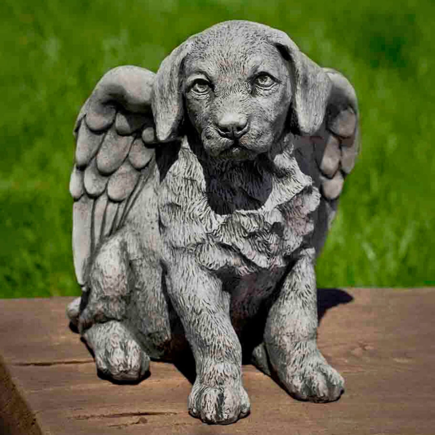 Campania Angel Puppy Concrete Garden Statue