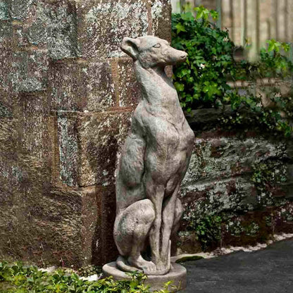 Campania Antique Greyhound Concrete Garden Statue