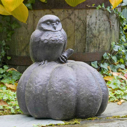 Campania Owl on Pumpkin Concrete Garden Statue - #A361