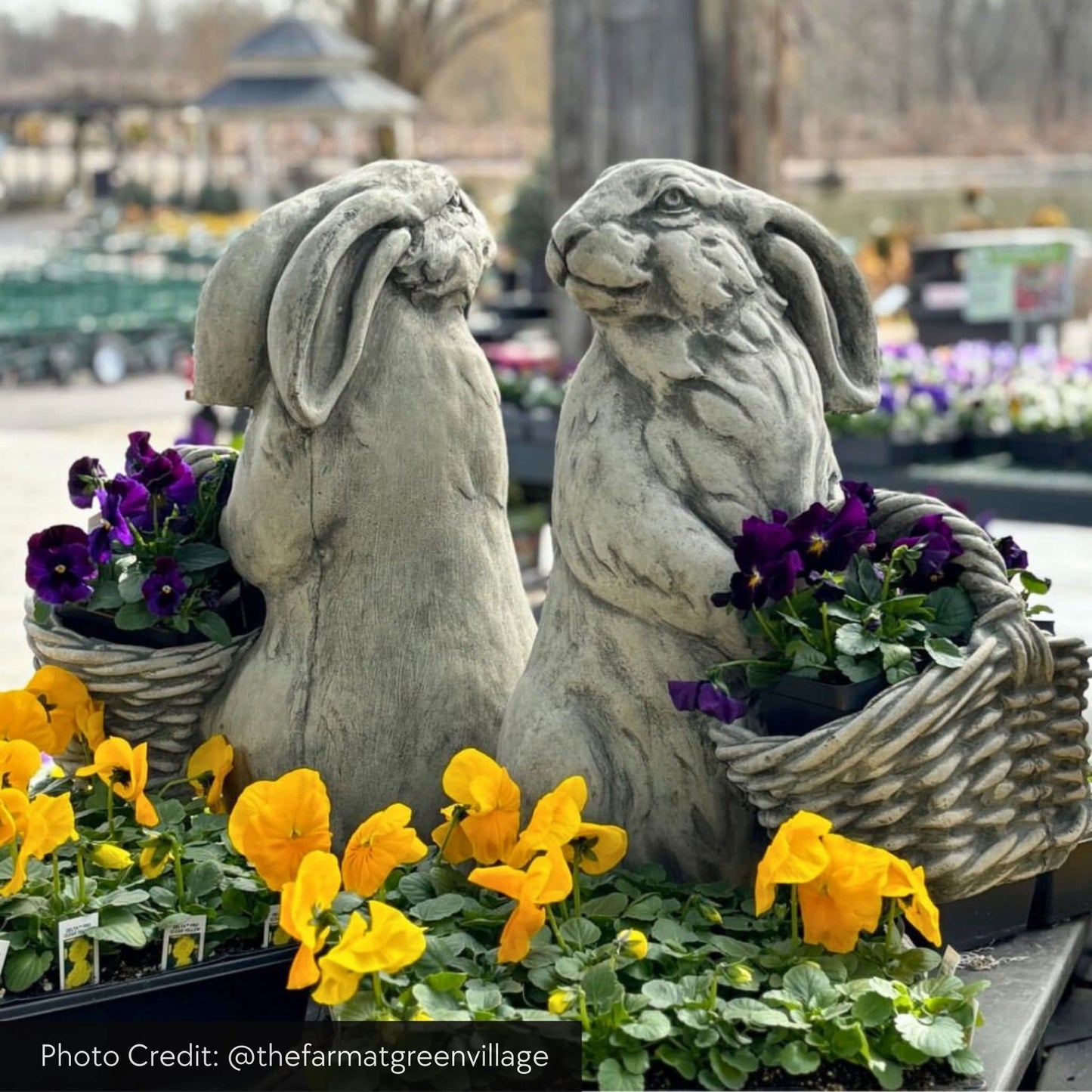 Campania Spring Hare Concrete Garden Statue - #A580