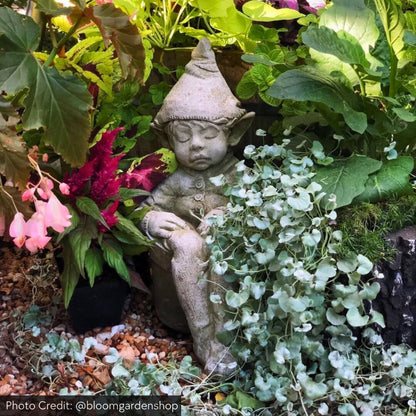 Campania Joe The Garden Elf Concrete Statue