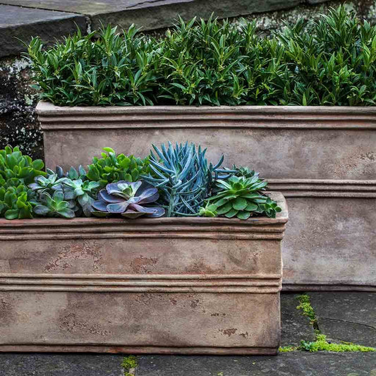 Campania International Antico Terra Cotta Rectangular Planter set of 2