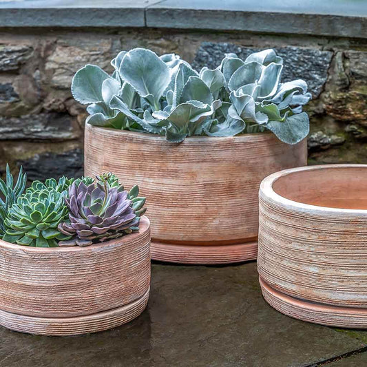 Campania International Sgraffito Low Planter in Terra Cotta set of 3