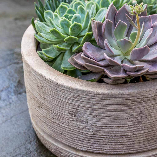 Campania International Sgraffito Low Planter in Antico Terra Cotta