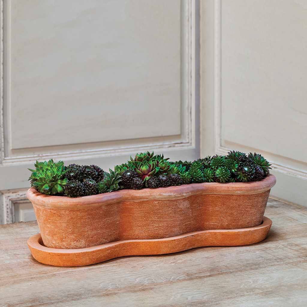 Campania International Costa Planter in Terra Nova set of 3