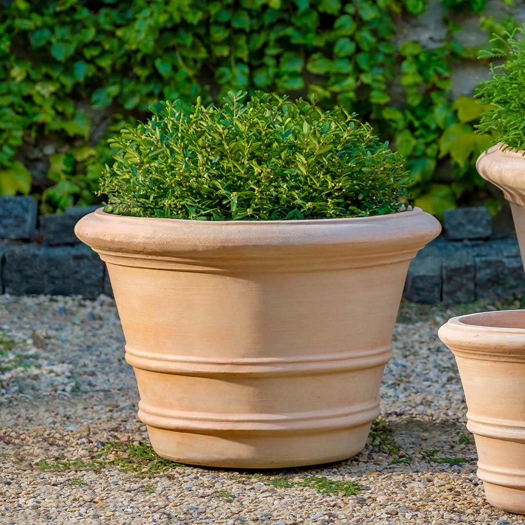 Campania International Classic Double Rolled Rim 18.25-inch in Terra Cotta set of 2