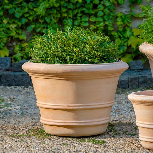 Campania International Classic Double Rolled Rim 18.25-inch in Terra Cotta set of 2
