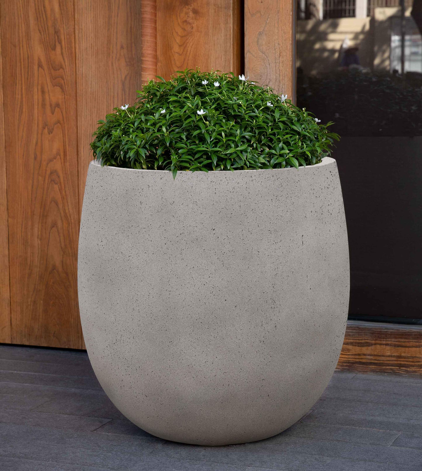 Campania Guilford Planter | Lite® Collection