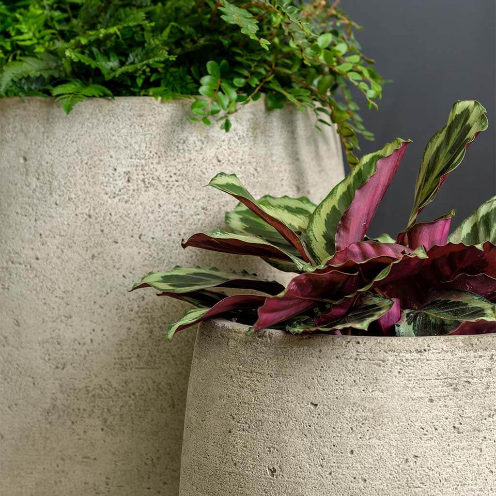Campania  Bebel Tall Cast Stone Planter
