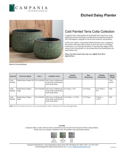 Campania Etched Daisy Set of 4 | Cold Painted Terra Cotta Planter