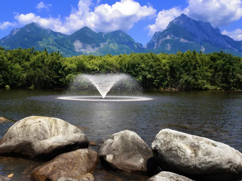 Kasco 4400HVFX 1HP Aerating Fountains 100 ft cord