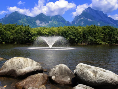 Kasco 4400HVFX 1HP Aerating Fountains 100 ft cord