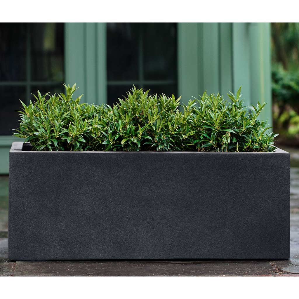 Campania Sandal Planter 481818 | Lite® Collection