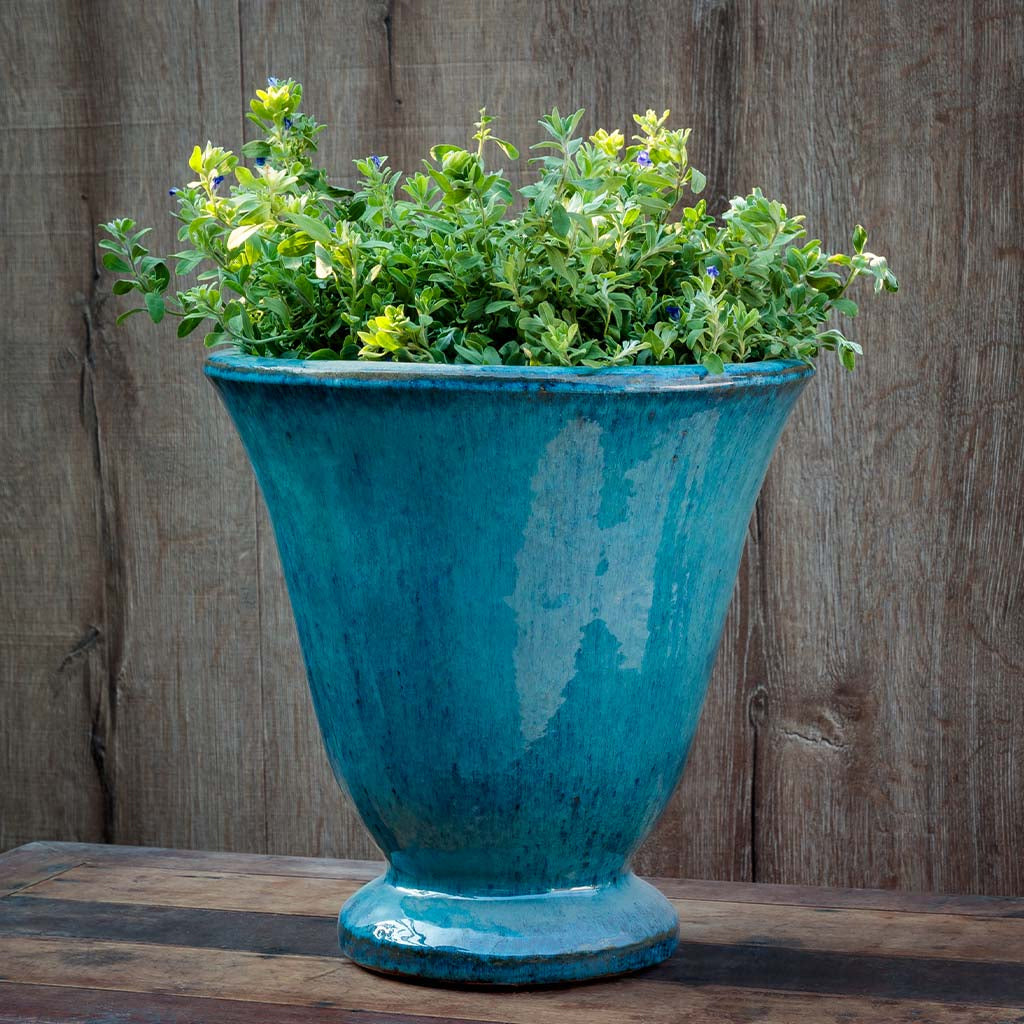 Campania International Caterine Urn Planter | Glazed Collection