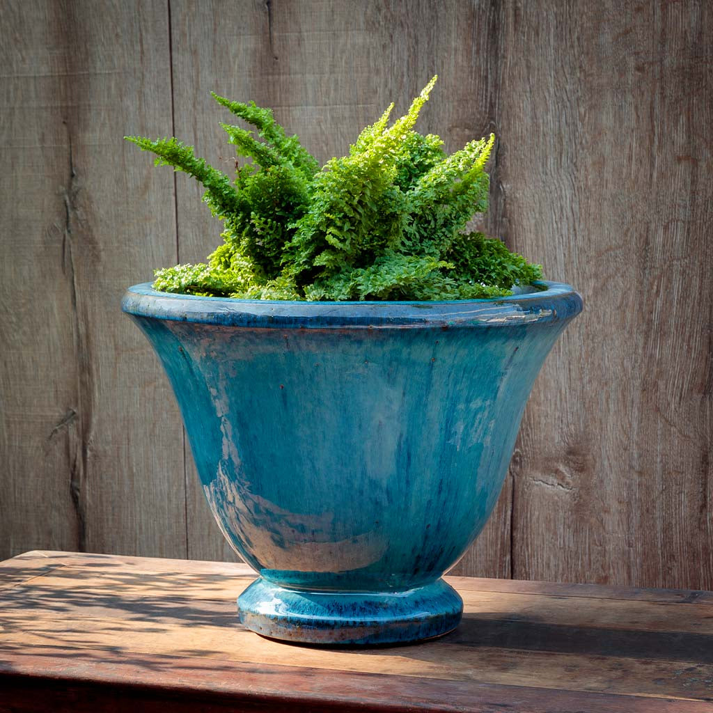 Campania Jacqueline Urn Planter | Glazed Collection
