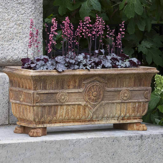 Campania International Smithsonian Eastlake Fern Box