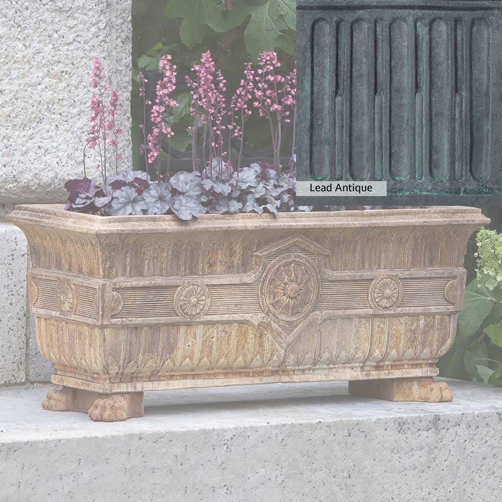 Campania International Smithsonian Eastlake Fern Box