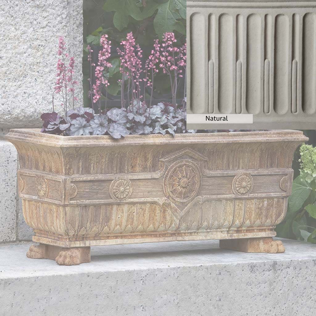 Campania International Smithsonian Eastlake Fern Box