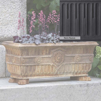Campania International Smithsonian Eastlake Fern Box