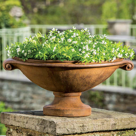 Campania International Medici Small Planter