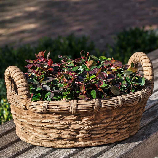 Campania International Provencal Basket Planter