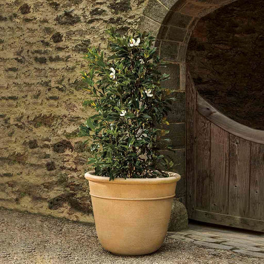 Campania International Carema Extra Large Planter